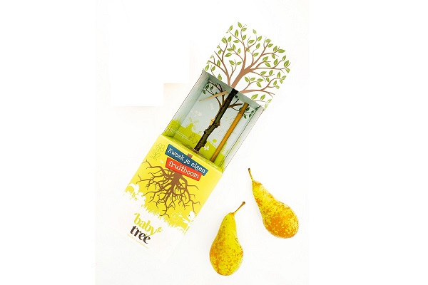 Baby-Tree-Pear-1